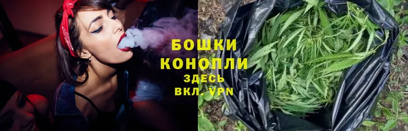 Бошки марихуана LSD WEED  маркетплейс как зайти  Правдинск 